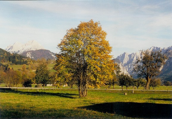 herbst_01.jpg