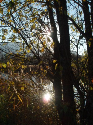 PA160128.JPG